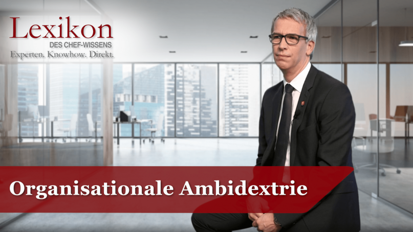 Organisationale Ambidextrie