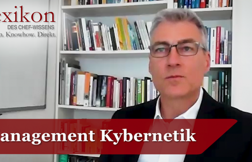 Management Kybernetik