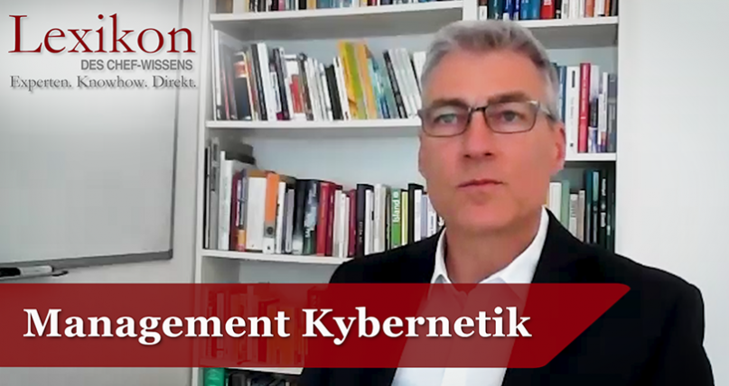 Management Kybernetik